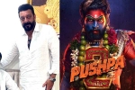 Mythri Movie Makers, Pushpa: The Rule release date, sanjay dutt s surprise in pushpa the rule, Allu arjun