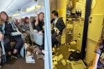 Singapore Airlines turbulence horror news, Singapore Airlines turbulence horror, one dead and 30 injured in singapore airlines turbulence horror, Singapore airlines