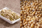 Sprouts vs Boiled Chana which is better, Sprouts vs Boiled Chana breaking, sprouts vs boiled chana for weight loss, Ram Sprouts vs Boiled Chana which is better, Sprouts vs Boiled Chana breaking, sprouts vs boiled chana for weight loss, Ram