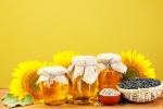 Sunflower Oil consumption, Sunflower Oil latest, long term effects of consuming sunflower oil on heart health, Leuk