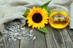 Sunflower seeds for health, Sunflower seeds breakfast, sunflower seeds and their nutritional benefits, Sunflower seeds