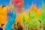 Florida Events, TGFL Holi Celebrations in Sri Ayyappa Society of Tampa, tgfl holi celebrations, Holi celebration