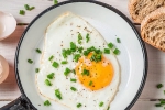 healthy, eggs, top 5 benefits of eggs that ll make you to eat them every day, World egg day