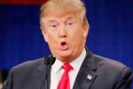 Donald Trump, Pune, donald trump s investments in india to impact us foreign policy, Indian political leaders