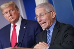 Donald Trump, covid-19, us could start reopening in may anthony fauci, Fight back