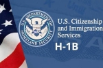 USICS report on Indians, USICS on H1B visas, uscis report claims more than 74 percent of indians accounted on h1b visas, Up government report