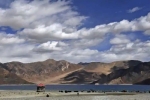 disengagement, Pangong Lake, india orders china to vacate finger 5 area near pangong lake, Galwan valley
