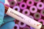 Vaccine for coronavirus, Coronavirus may never go, who warns covid 19 may never go away then what s the future of the world, Beaches
