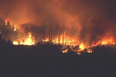 91 Wildfires Burn Across Florida