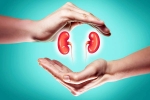 World Kidney Day 2025 experts, World Kidney Day 2025 care, world kidney day 2025 theme and health tips, Acting