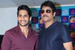 Akkineni heroes, Akkineni new movies, akkineni fans to have a double treat, Saahasam swaasaga saagipo
