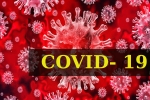 COVID- 19, World Health Organization, who renames the deadly coronavirus as covid 19, Spanish flu