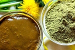 Henna new updates, Henna colour, how henna helps for hair growth and health, Dandruff