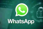 iOS Testing Multi-Account Support for WhatsApp, iOS Testing Multi-Account Support for WhatsApp, whatsapp for ios testing multi account support, Google play