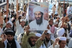 Bin Laden death breaking news, Bin Laden new updates, bin laden continues to mobilize jihadists ten years after his death, Al qaeda