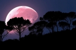coronavirus, super pink moon, april s super pink moon to rise today biggest of the year, Super pink moon