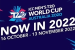 T20 World Cup 2022 schedule, T20 World Cup 2022 Australia, icc announces the schedule for t20 world cup 2022, Adelaide