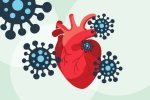 scientists, coronavirus, covid 19 can lead to heart complications not found in any other disease study, Autopsy