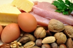 tissues, body, why protein is an important part of your healthy diet, Messenger