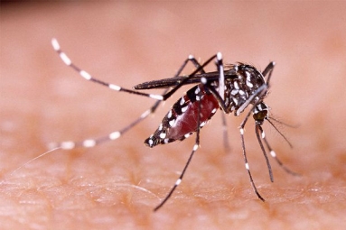 Florida Continue To Offer Zika Tests For Pregnant Women