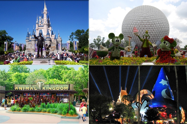Enjoy the magic of Disney World