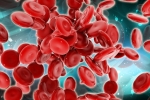 Blood Cells, Health news, scientists generate blood forming stem cells, Stem cells
