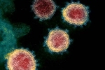 Coronavirus new variants, Covid-32, face covid 26 and covid 32 warns experts, Coronavirus origin