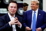 Elon Musk and Donald Trump campaign, Elon Musk and Donald Trump campaign, elon musk s big bet on donald trump, Crypto