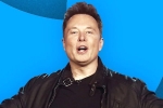 Elon Musk for twitter employees, Twitter, elon musk s new ultimatum to twitter staffers, Tesla