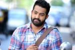 KS Ravindra, NTR next film, official ntr s next film locked, Sardar gabbar singh