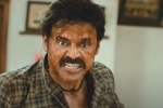 Narappa release updates, Venkatesh, venky s narappa trailer talk, Sreekanth addala