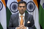 pakistan terror groups raveesh kumar., mea statement on paksitan, mea naya pakistan with naya soch should show naya action against terrorist groups, Cross border terrorism