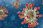 China Covid Row review, China Covid Row latest, new china coronavirus variant traced in india, Omicron