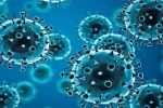 R.1 Coronavirus dangerous updates, R.1 Coronavirus vaccine, r 1 variant of coronavirus traced in 35 countries, Coronavirus usa