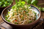 Sprouts advice, Sprouts diet, benefits of adding sprouts to your diet, Healthy digestion