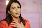 tulsi gabbard twitter, tulsi gabbard president, tulsi gabbard apologizes for her past statement on lgbtq, Gay right