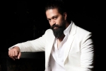 Yash Toxic heroine, Toxic, bollywood beauty to romance yash, Thriller