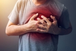 recovery after sudden cardiac death, heart attack symptoms, difference between a heart attack and cardiac arrest, Heart muscle