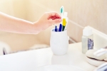 Toothbrush news, Toothbrush change, how often should you change your toothbrush, Oral hygiene