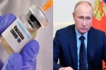 vaccine, antibodies, russia launched the first covid 19 vaccine how it works, Eyebrows